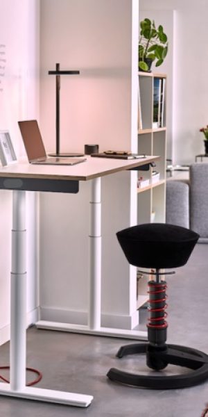Aeris Swopper Active Office