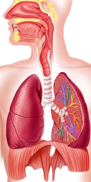 breathing dykhannya