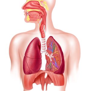 breathing dykhannya